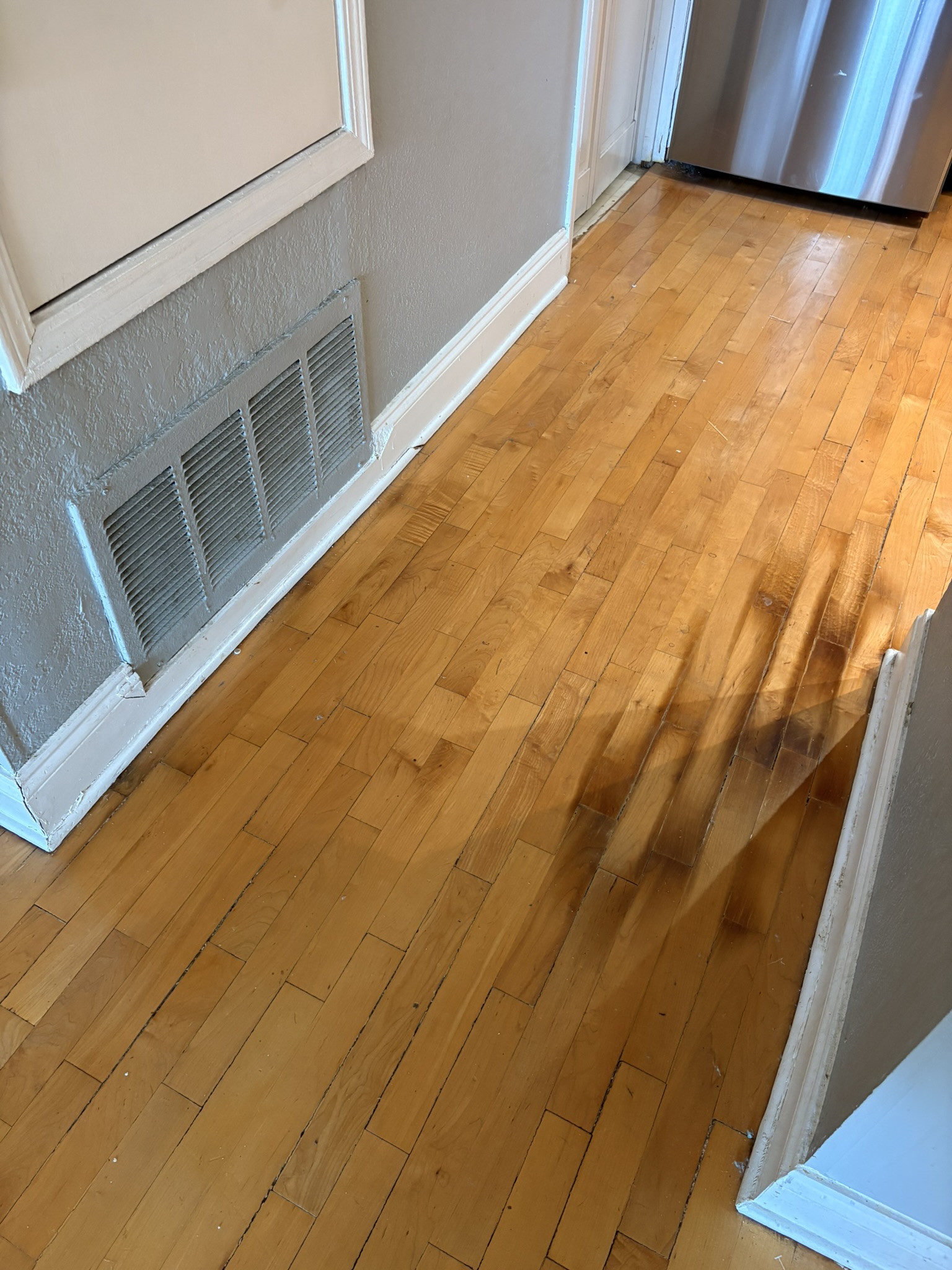 Pet stains on maple floors